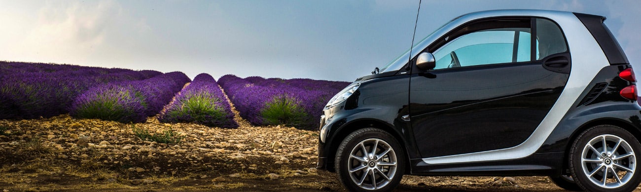 Smart-car-parked-in-front-of-lavender-field